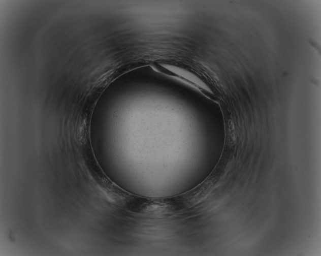 X0000092300364200710051224