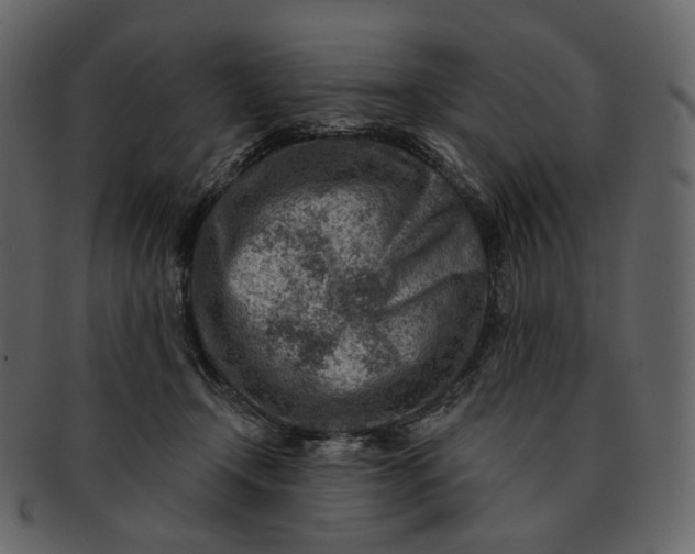 X0000092300366200710051224