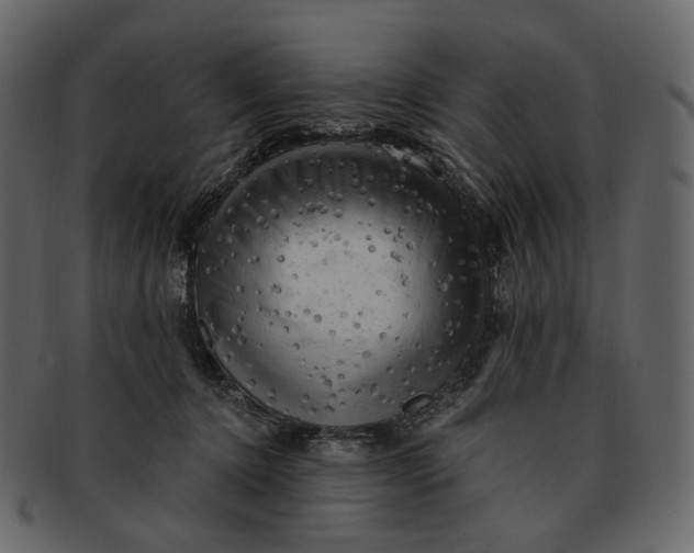 X0000092300368200710051224