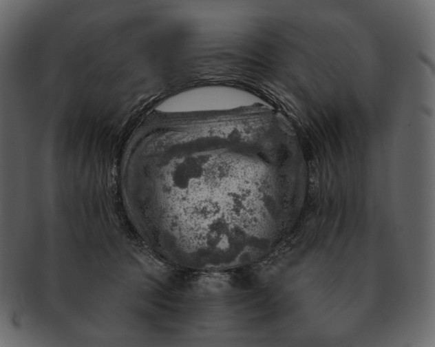 X0000092300369200710051224