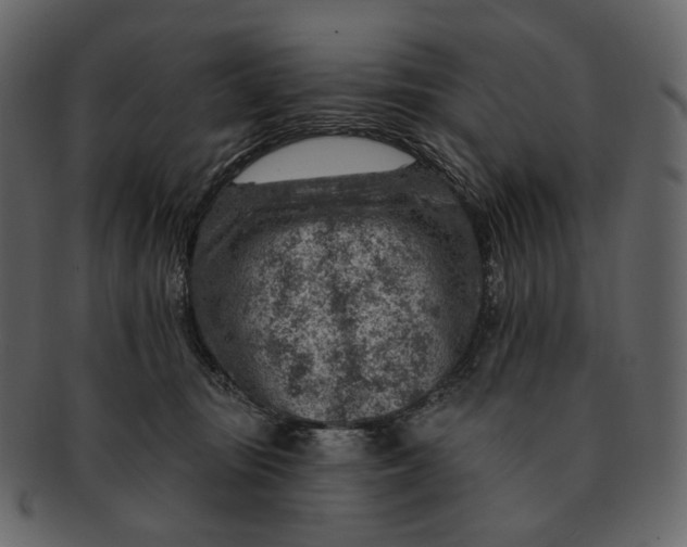 X0000092300371200710051224