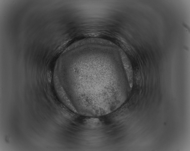 X0000092300374200710051224