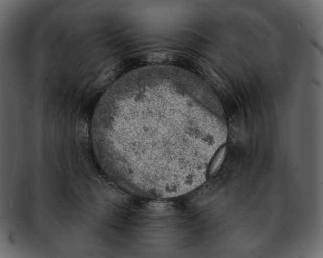 X0000092300375200710051224