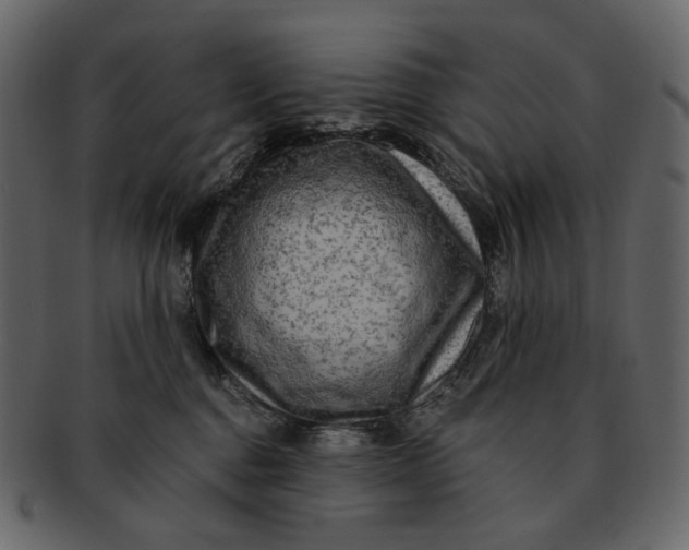 X0000092300376200710051224