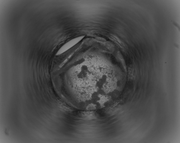 X0000092300377200710051224