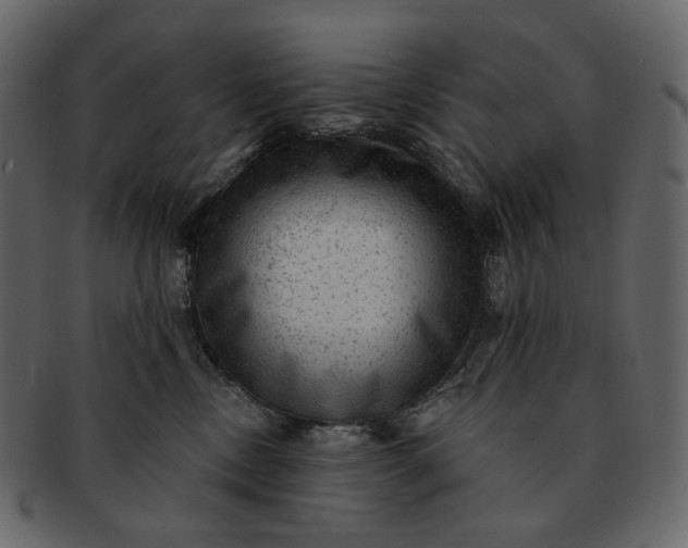 X0000092300378200710051225