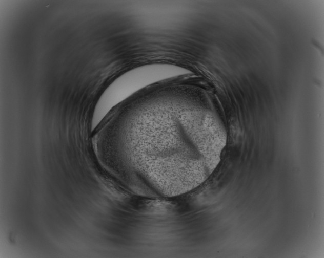 X0000092300379200710051225