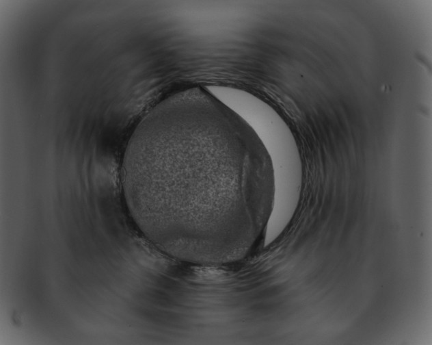 X0000092300380200710051225