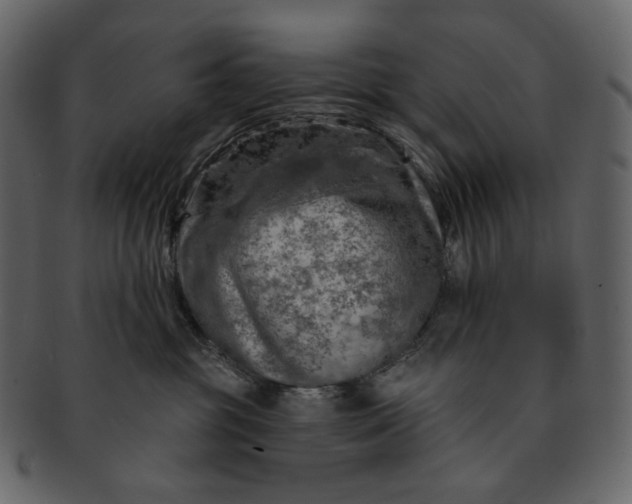 X0000092300381200710051225