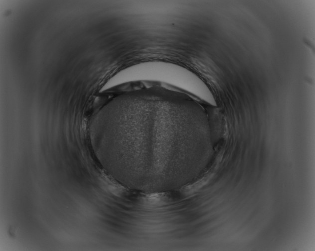 X0000092300382200710051225