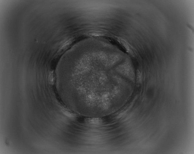 X0000092300383200710051225