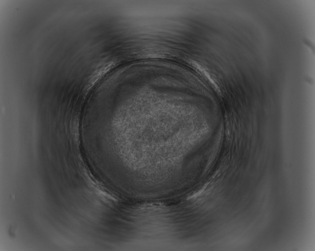 X0000092300386200710051224