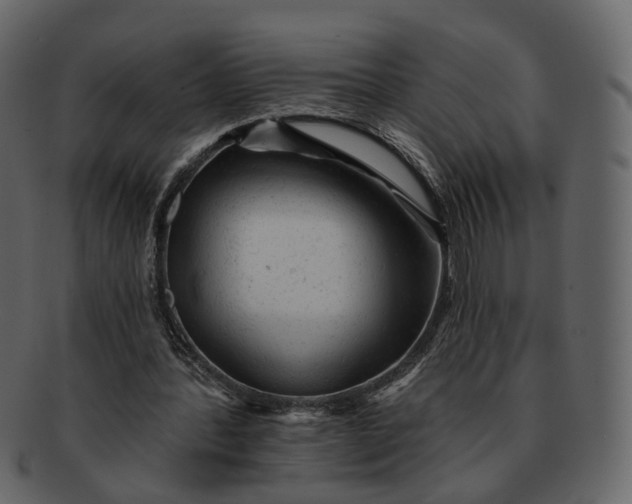 X0000092300388200710051224