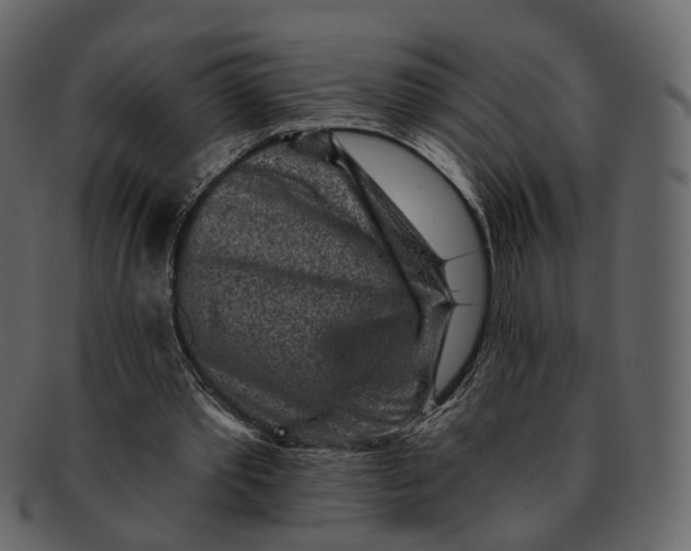 X0000092300389200710051224