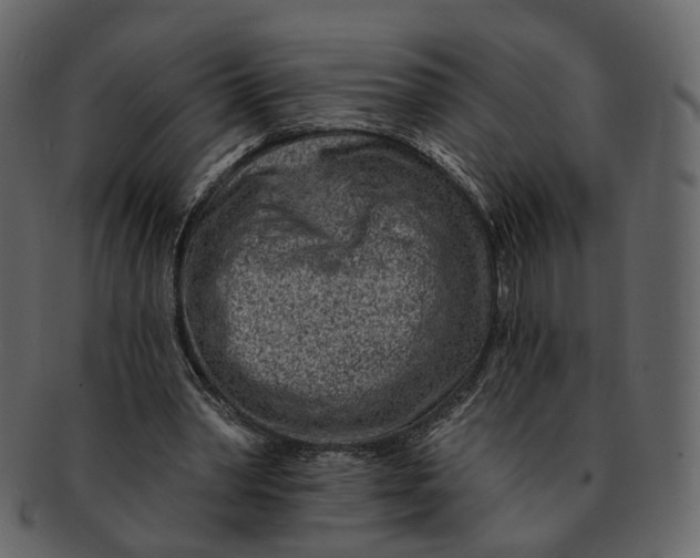 X0000092300390200710051224