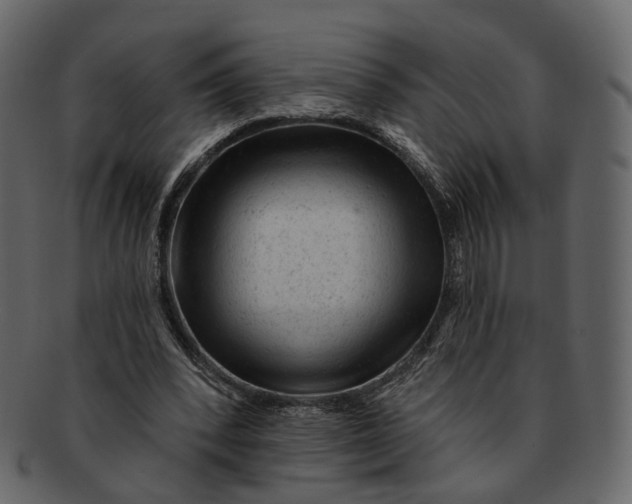 X0000092300392200710051224