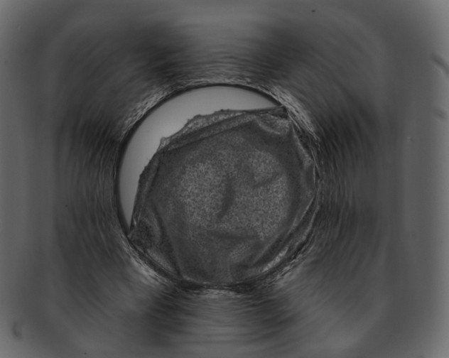 X0000092300393200710051224