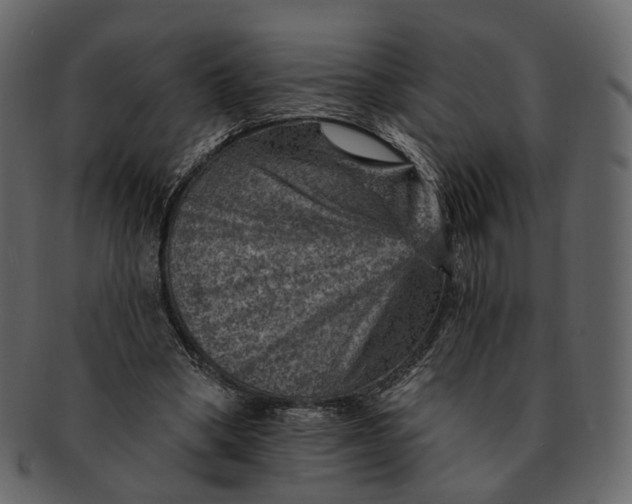 X0000092300394200710051224