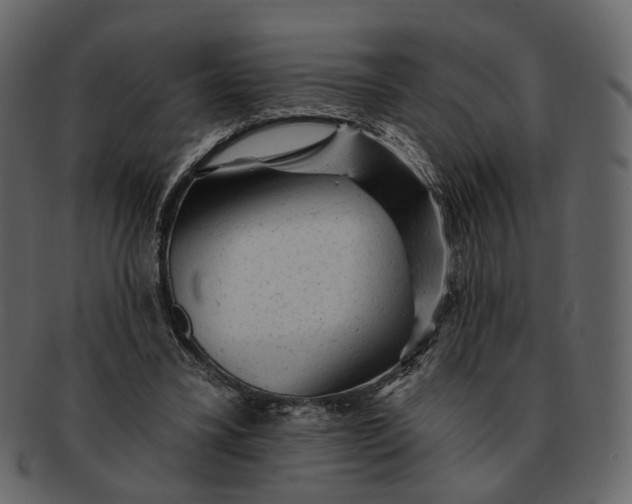 X0000092300395200710051224