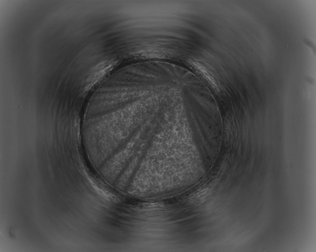 X0000092300398200710051224