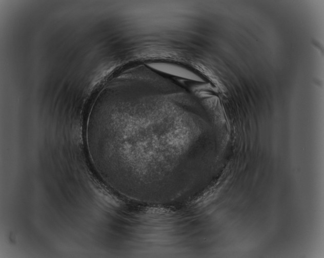 X0000092300399200710051224