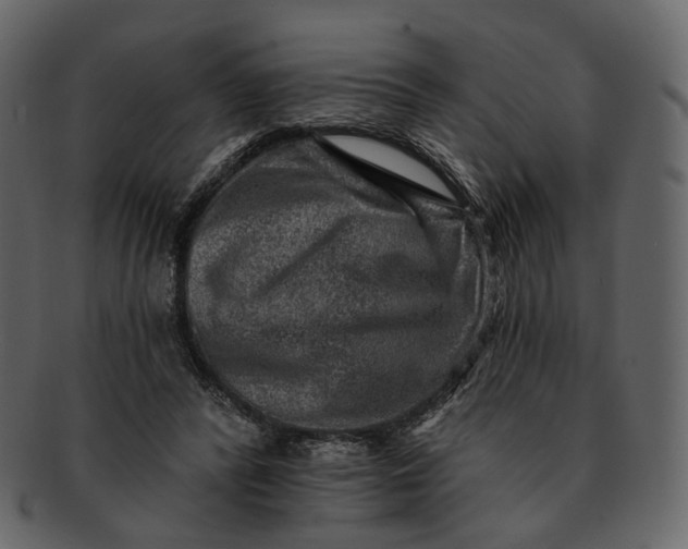 X0000092300400200710051224