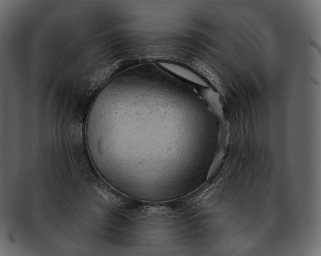 X0000092300401200710051224