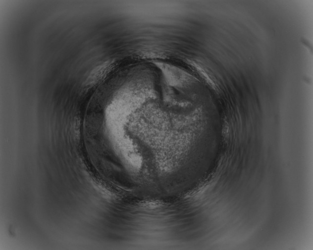 X0000092300402200710051224