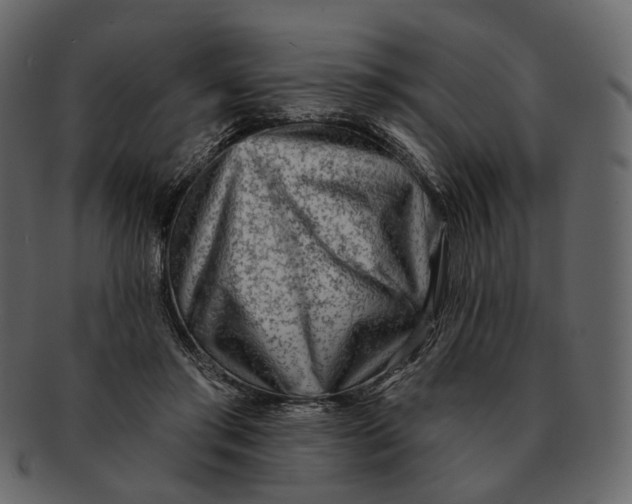 X0000092300405200710051224