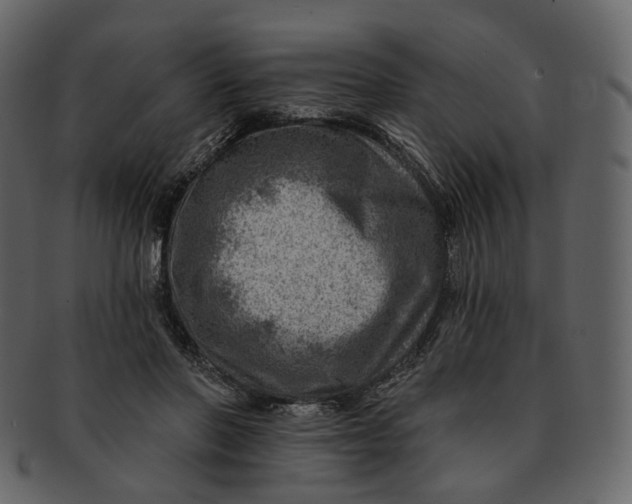 X0000092300406200710051224