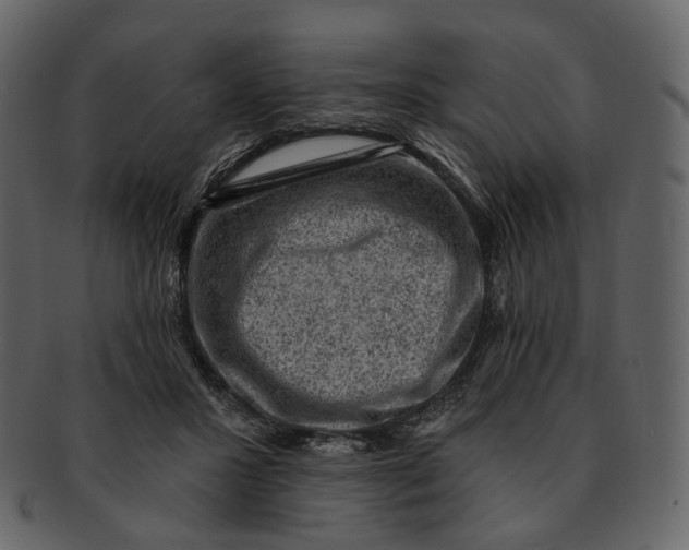 X0000092300407200710051224