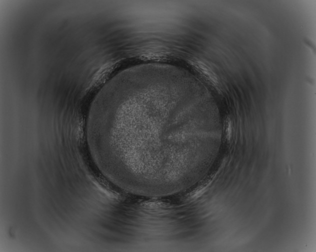 X0000092300408200710051224