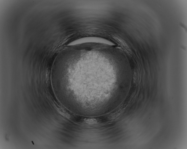 X0000092300409200710051224