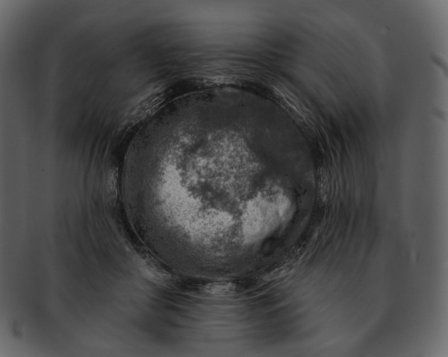 X0000092300410200710051224