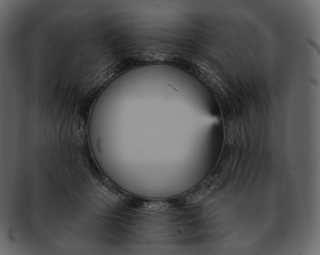 X0000092300414200710051224