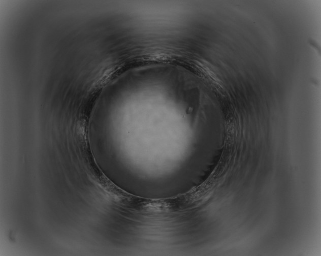 X0000092300415200710051224