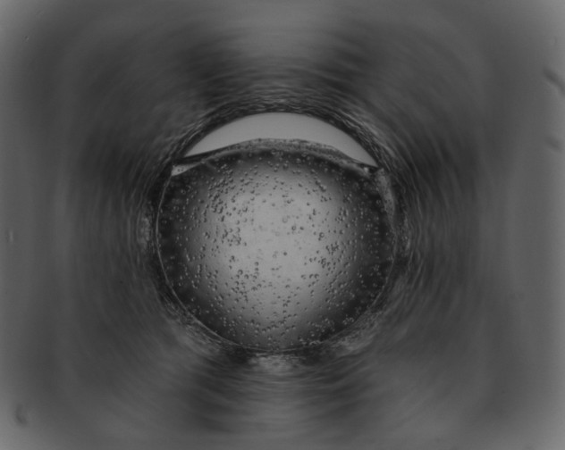 X0000092300417200710051224