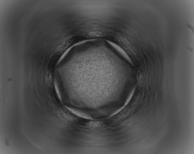 X0000092300418200710051224