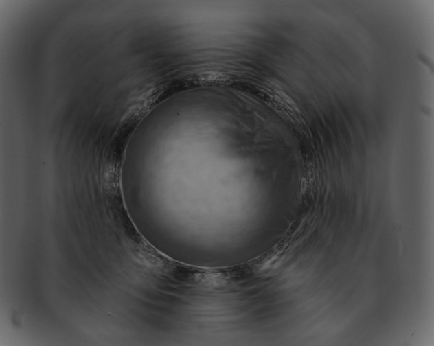 X0000092300419200710051224