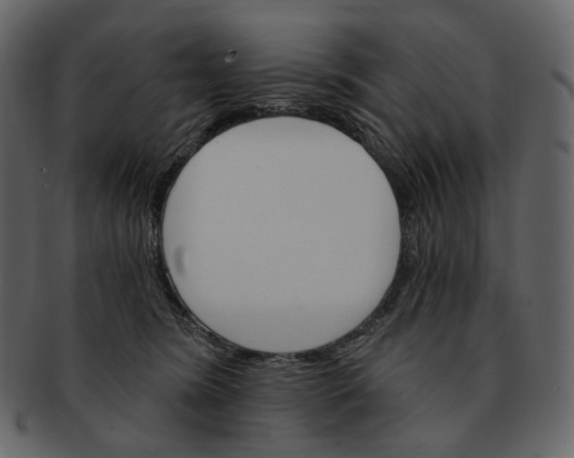 X0000092300420200710051224