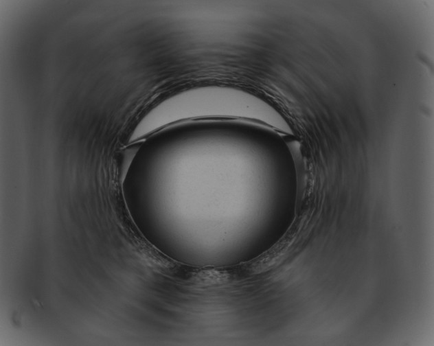 X0000092300421200710051224