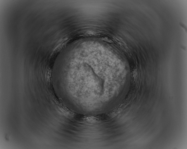 X0000092300423200710051224