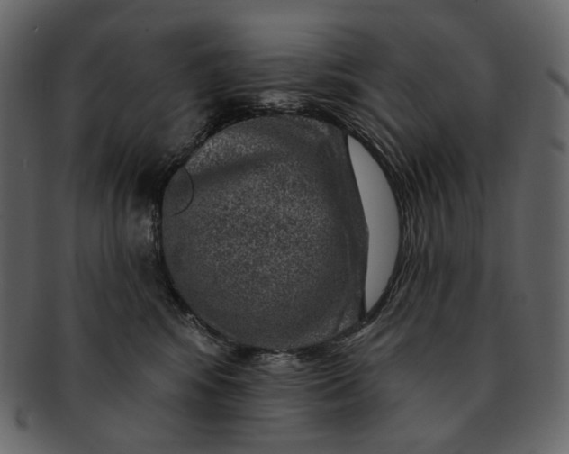 X0000092300424200710051224