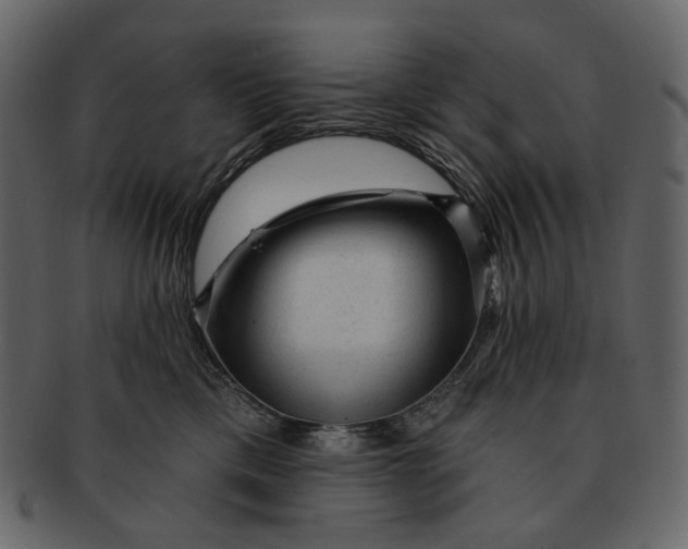 X0000092300425200710051224