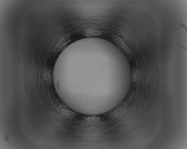 X0000092300426200710051224