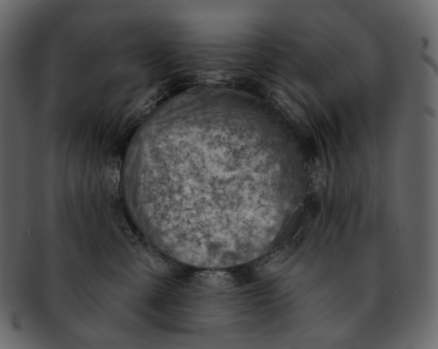 X0000092300427200710051224