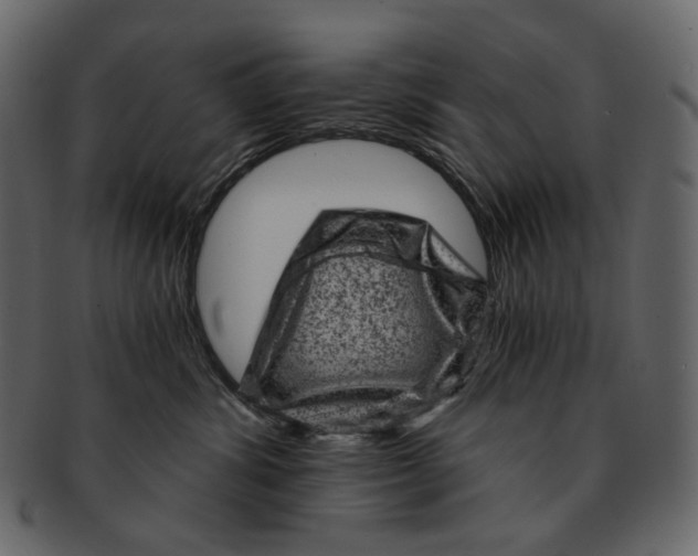 X0000092300428200710051223