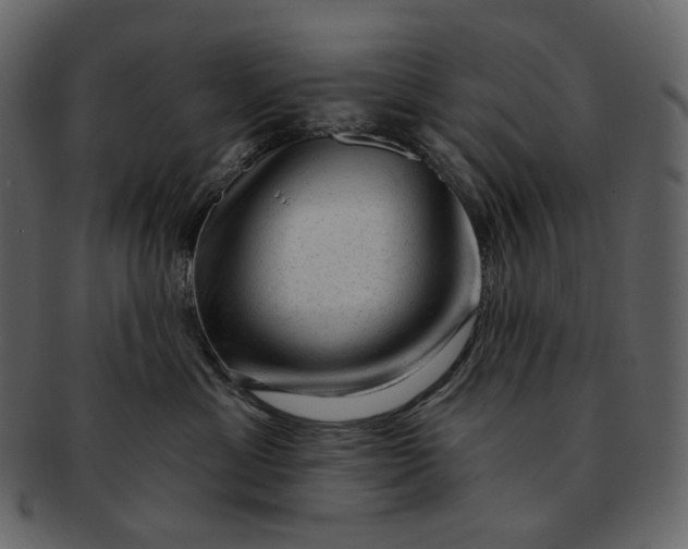 X0000092300429200710051223