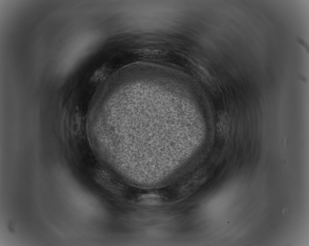 X0000092300430200710051223