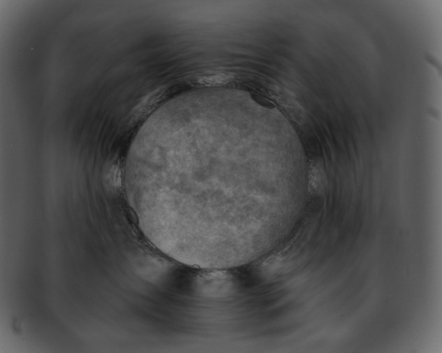 X0000092300431200710051223